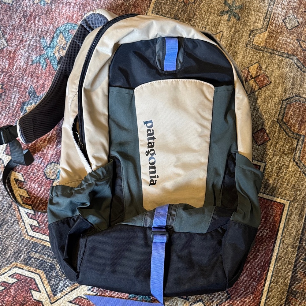 Patagonia Black, Tan, and Blue Backpack